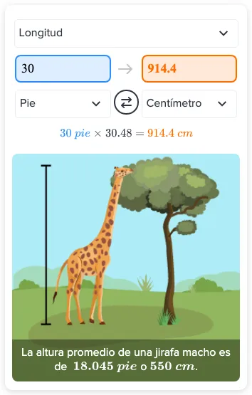 ¿Cuál es la longitud de 30 pies en centímetros? - Método & pasos | CK