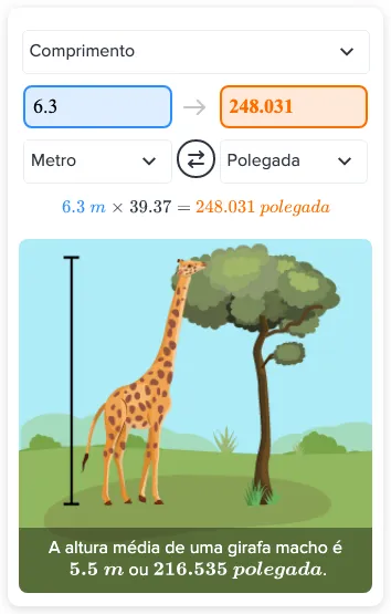 Quantas polegadas equivalem a 6.3 metros? - etapas & exemplos | CK-12 ...