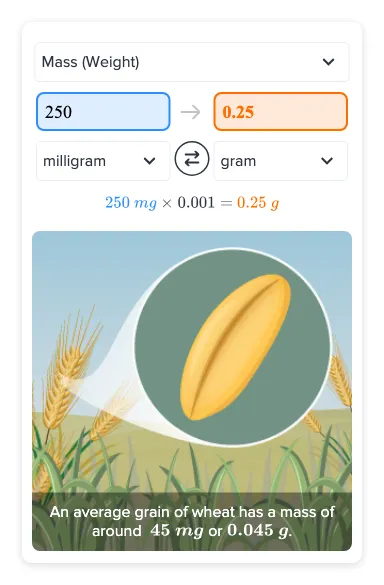 Flexi answers - What is the weight of 250 mg in grams?